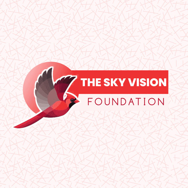 Sky Vision Foundation